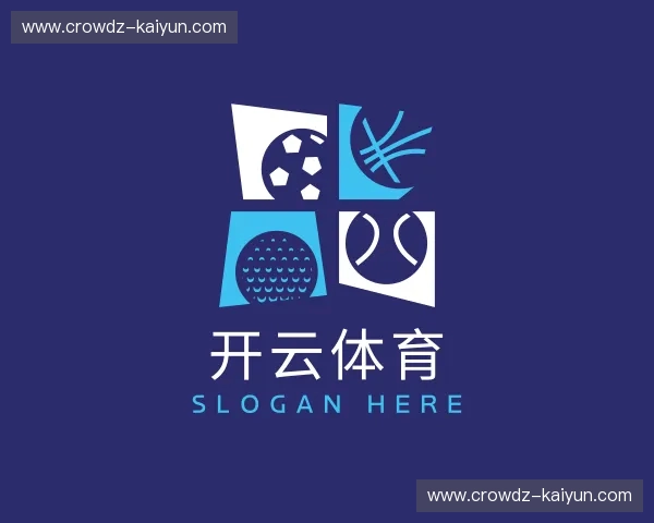 关于开云体育官网